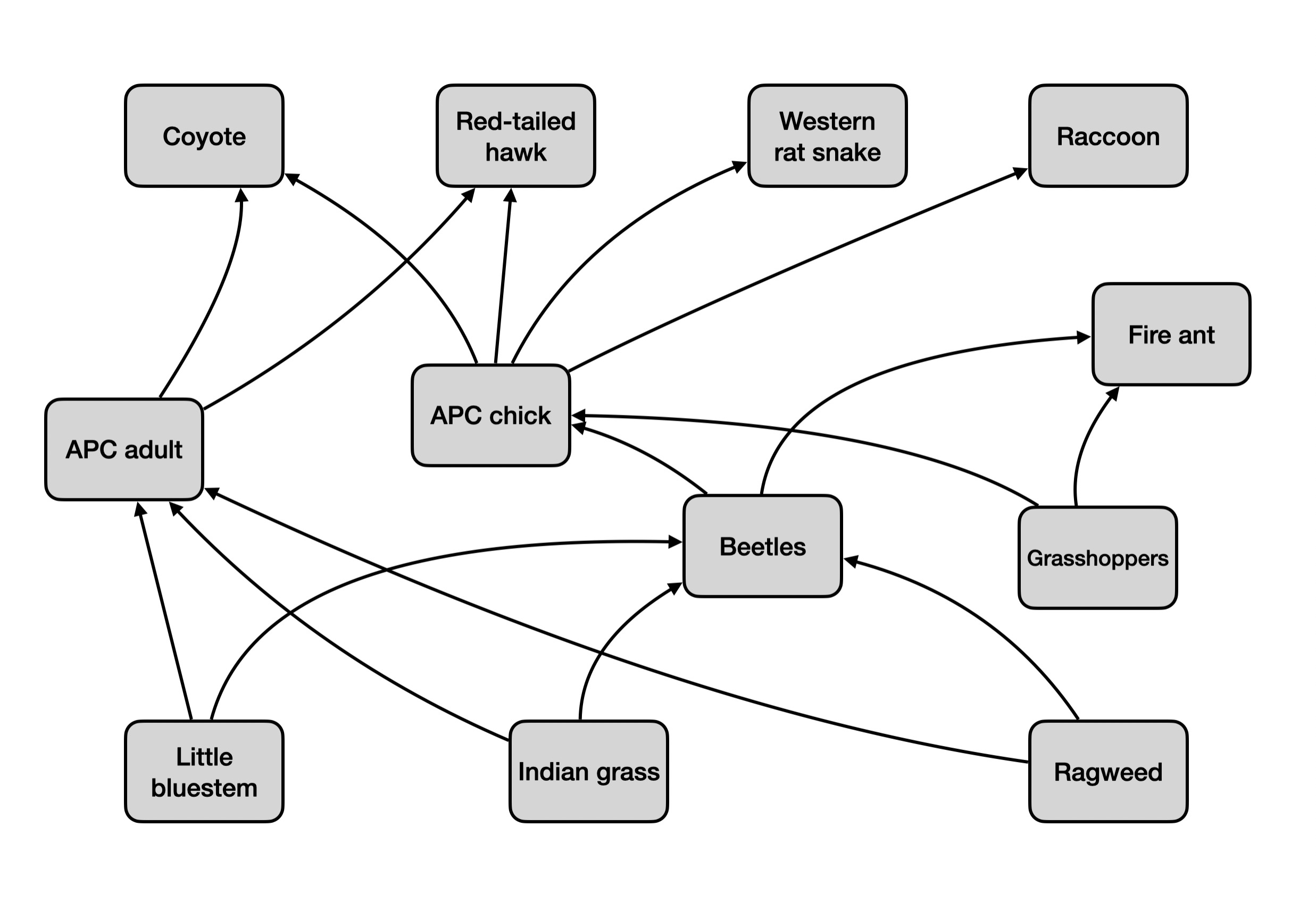 Attwater's Prairie Chicken ecosystem food web showing predator-prey relationships